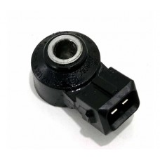 Sensor Detonação Bmw X1 2017 Original B23 (148)