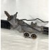 Caixa Direção Nissan Frontier 2.5 2008/2015 Original - Usado